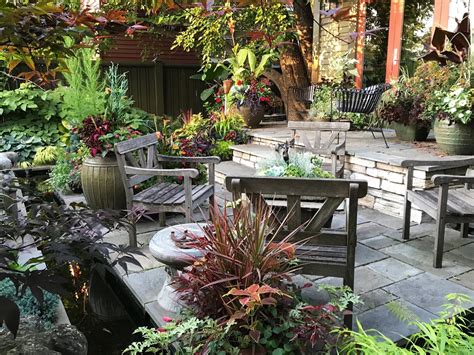 Tangletown gardens - Shop Garden Center. View All Categories Gift Cards Sunday Salon & Workshop Series 2024 Seeds Give a Gift Houseplants DIY Kits & Activities Plant Care Tools & Supplies